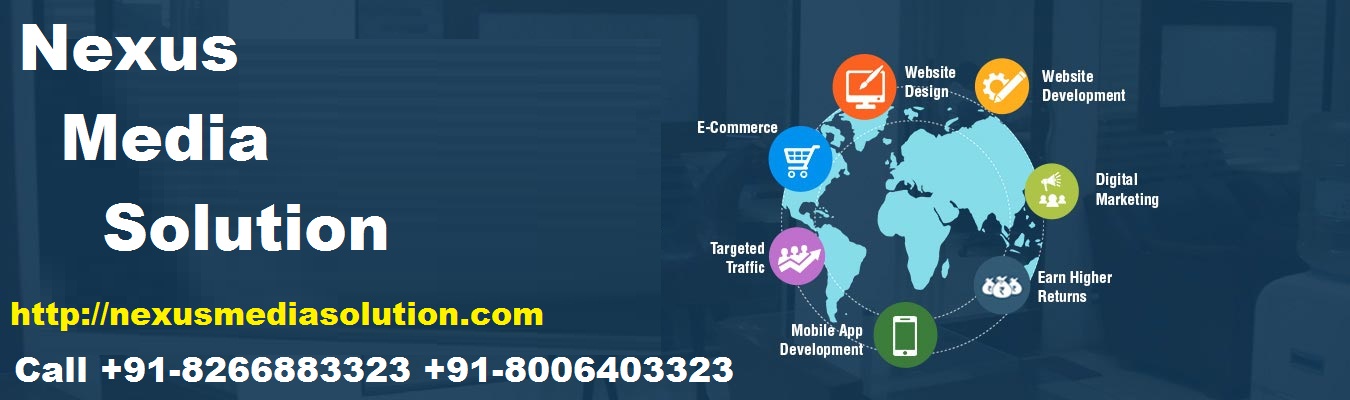 best website designing and developemnt company in moradabad